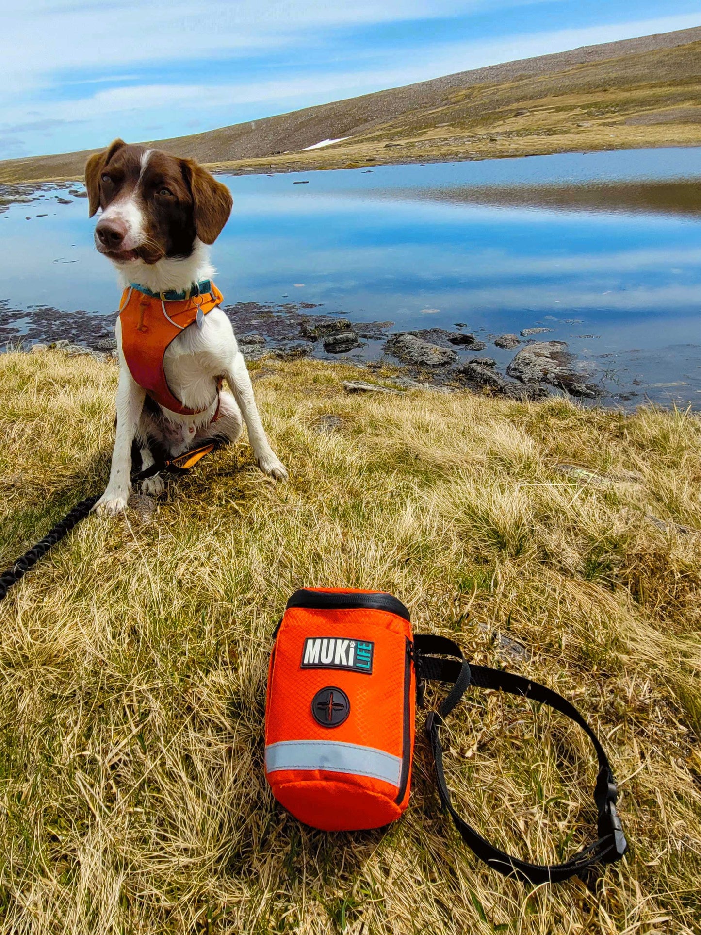 MUKi Trek Pouch - Portable Dog Bin - Black